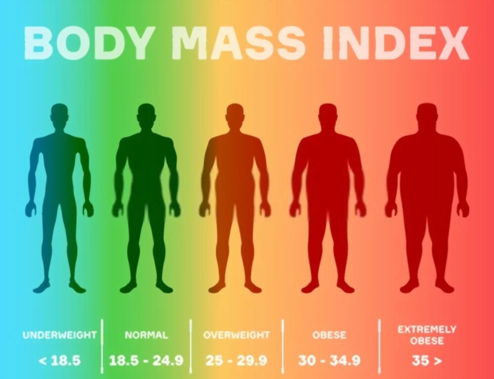 bmi-weight-chart-infographic