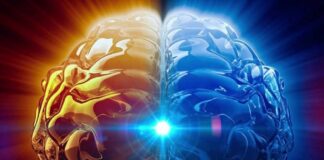 Brain sync and binaural beats – Amazing technology or just placebo? brain synch