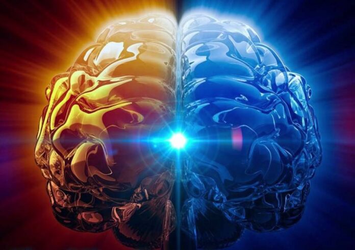 brain synch