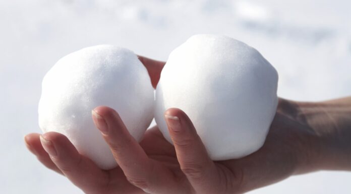 Freezing your testicles – does it work?