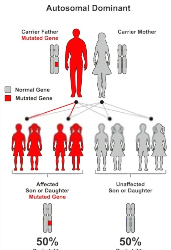 Autosomal dominant mutations