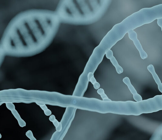 Stress, water and nutrients: a longevity story