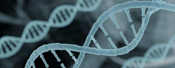 Bioinformatics biotechnology concept of DNA