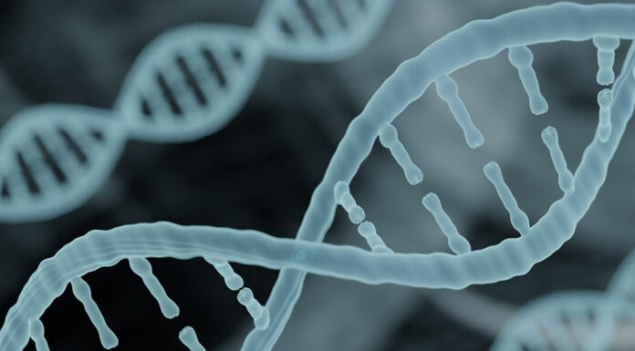 Stress, water and nutrients: a longevity story