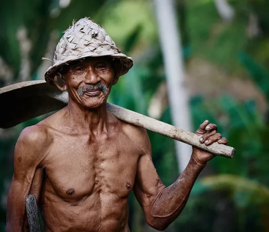 The 4 longevity secrets of the Okinawan centenarians old very fit men